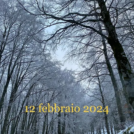 Apartment Nel Cuore Di *