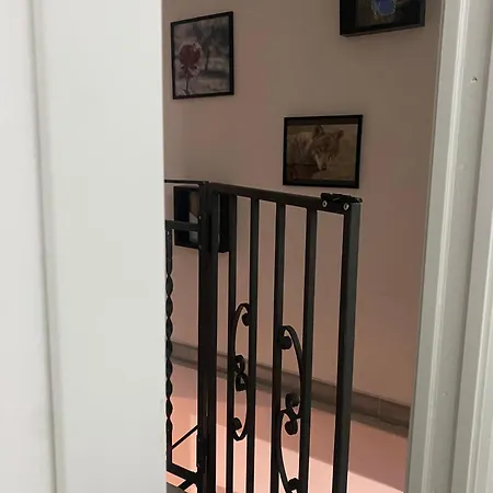 Nel Cuore Di * بيسكاسيرولي